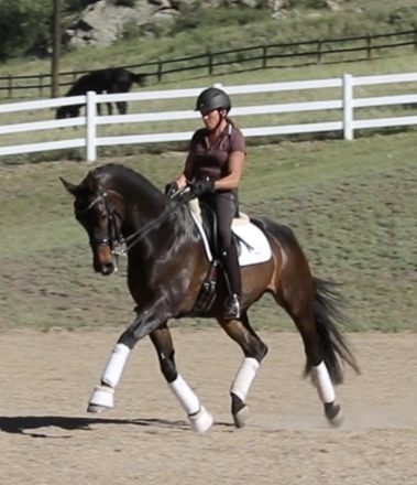 HorseID: 2265336 Joy Rider - PhotoID: 1048627