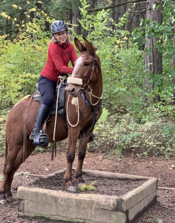 HorseID: 2273848 HMH Rowdy Red - PhotoID: 1047743