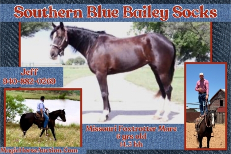HorseID: 2274014 Southern Blue Bailey Socks - PhotoID: 1046329