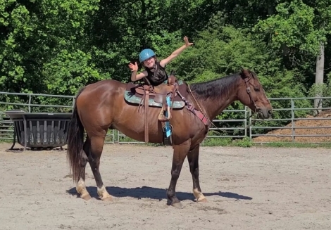 HorseID: 2274087 Bravo! Over 1 hour video. Super safe, broke vetted - PhotoID: 1046406