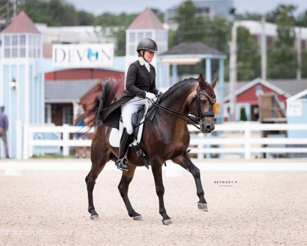 HorseID: 2274683 Kynynmont Cooper O'Grady - PhotoID: 1047317