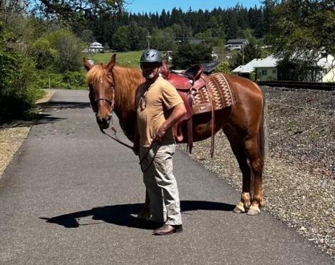 HorseID: 2274825 Gorgeous Sorrel Mare - PhotoID: 1047465