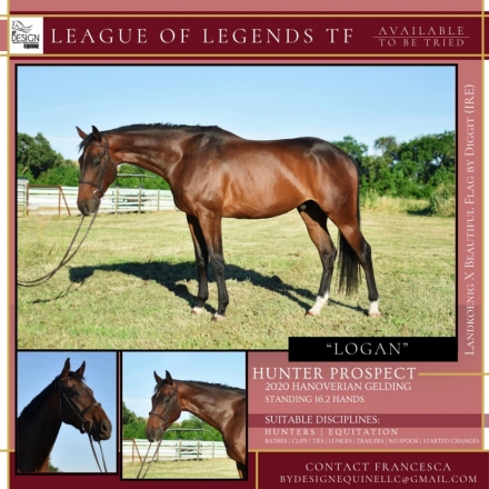 HorseID: 2274895 League of Legends TF - PhotoID: 1047547