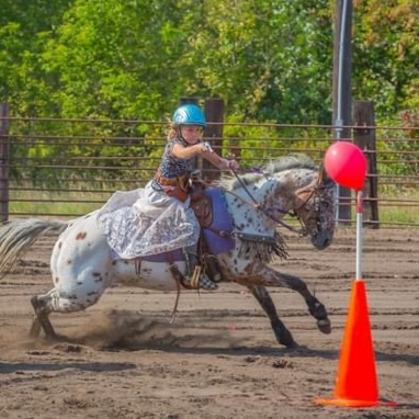 HorseID: 2275043 Wedel’s Lady Em - PhotoID: 1047771