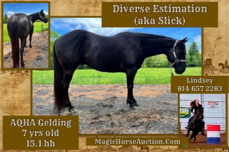 HorseID: 2275082 Diverse Estimation - PhotoID: 1047817