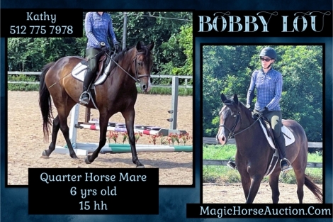 HorseID: 2275085 Bobby Lou - PhotoID: 1047820
