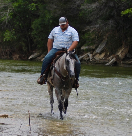 HorseID: 2275185 ASPEN MH - PhotoID: 1048708