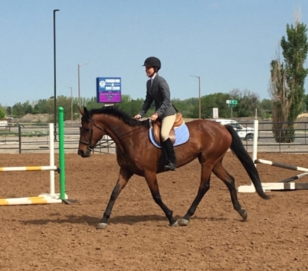 HorseID: 2275274 Miss Pretzel - PhotoID: 1048018