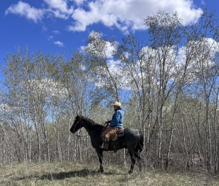 HorseID: 2276213 Blue's Smokin' Pistol - PhotoID: 1049386