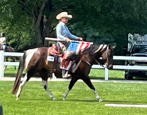 HorseID: 2279959 Diaman H Risky Play - PhotoID: 1077692