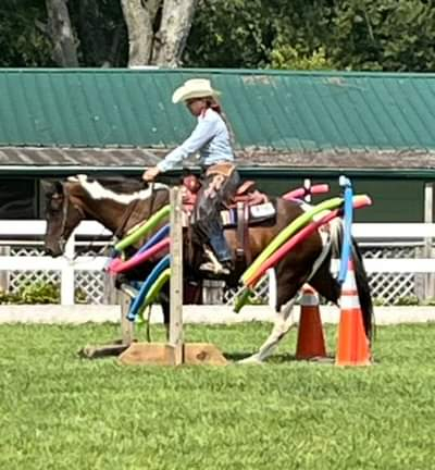 HorseID: 2279959 Diaman H Risky Play - PhotoID: 1077693