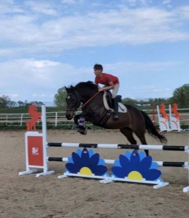 HorseID: 2269389 Boadicea - PhotoID: 1043704