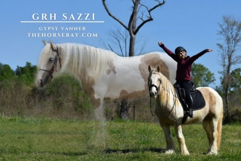 HorseID: 2272949 GRH Sazzi - PhotoID: 1044928