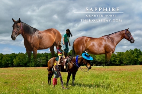 HorseID: 2272954 Sapphire - PhotoID: 1044944