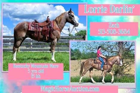HorseID: 2272996 Lorrie Darlin' - PhotoID: 1044995