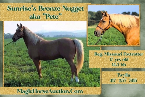 HorseID: 2273459 Sunrise's Bronze Nugget C. - PhotoID: 1045580