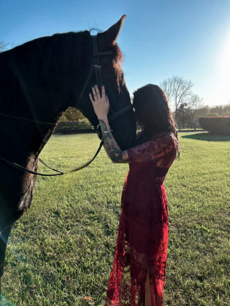 HorseID: 2288062 Remington Chayce - PhotoID: 1065294