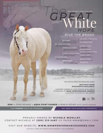 HorseID: 2288593 The Great White Hope by Nu Chex To Cash - PhotoID: 1065952