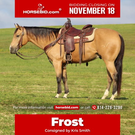 HorseID: 2253891 Backwoods Frost Ba - PhotoID: 1029665