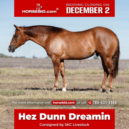 HorseID: 2260686 Hez Dunn Dreamin - PhotoID: 1045900