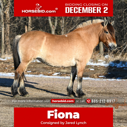 HorseID: 2260688 Fiona - PhotoID: 1042241