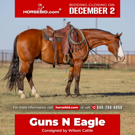 HorseID: 2262623 Guns N Eagle - PhotoID: 1036986