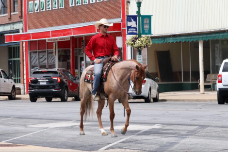 HorseID: 2271746 TTR Rustic Hickory - PhotoID: 1043306