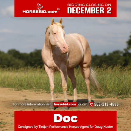 HorseID: 2275753 Sonny Nu Doc - PhotoID: 1048795