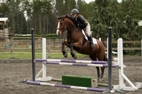 HorseID: 2279720 Satine DSF - PhotoID: 1061008