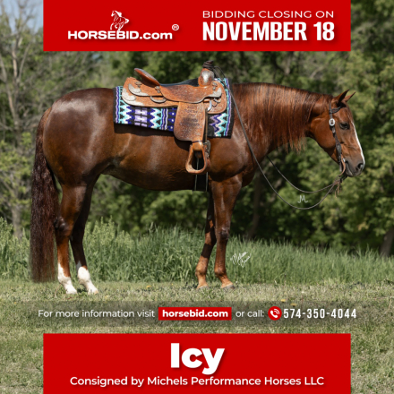 HorseID: 2280899 LV Oh Man Its Icy - PhotoID: 1055720