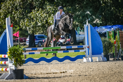 HorseID: 2284604 River Hawk - PhotoID: 1060719