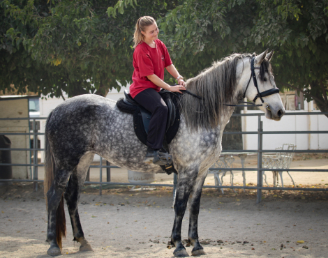 HorseID: 2284868 Hadassah - PhotoID: 1061023