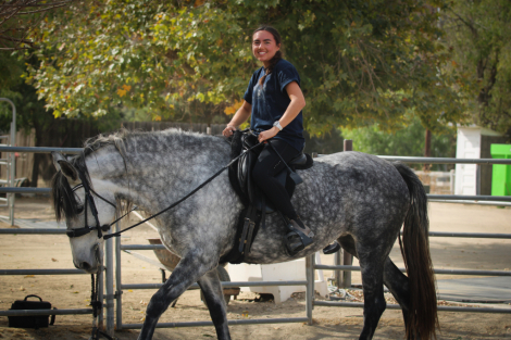 HorseID: 2284868 Hadassah - PhotoID: 1061024