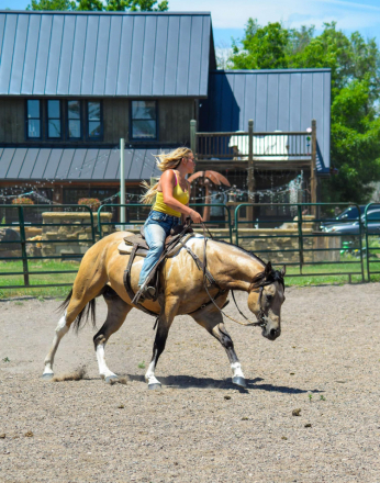 HorseID: 2285012 Ima Smokey Pep Kid - PhotoID: 1061223