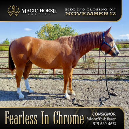 HorseID: 2285065 Fearless In Chrome - PhotoID: 1061312