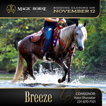 HorseID: 2285070 Breeze* - PhotoID: 1061317