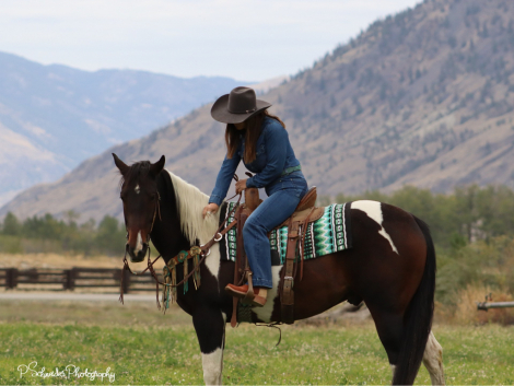 HorseID: 2285092 Tonto 2017 APHA Gelding - PhotoID: 1061329