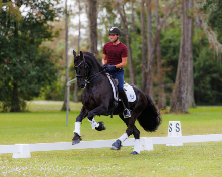 HorseID: 2285373 BINDERT VAN DE DOEZUMER TOCHT - PhotoID: 1061743