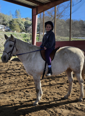 HorseID: 2285457 Winter Morning - PhotoID: 1061951