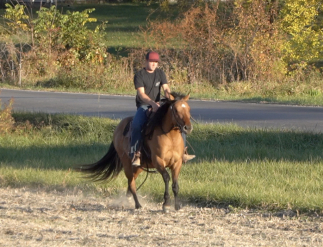 HorseID: 2285482 SJ RAWHIDE DUNNIT - PhotoID: 1061977