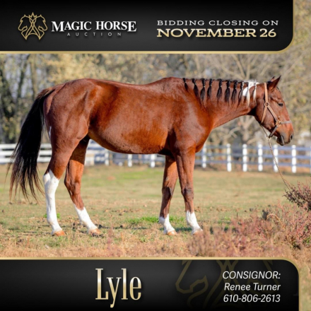 HorseID: 2285798 Lyle - PhotoID: 1062399