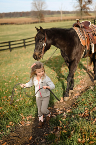 HorseID: 2285908 Watch Video! Kid Friendly Quarter PONY - PhotoID: 1062543