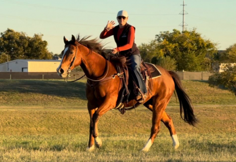 HorseID: 2286081 A Big Wagon Wheel NTL - PhotoID: 1062791