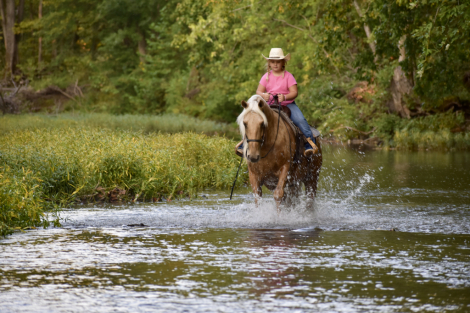 HorseID: 2286188 Mustache Cash - PhotoID: 1062927