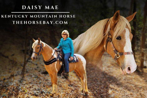 HorseID: 2286274 Daisy Mae - PhotoID: 1063026