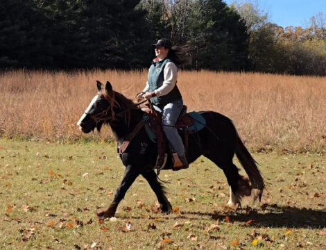 HorseID: 2290634 RHGC DAWN TREADER - PhotoID: 1088991