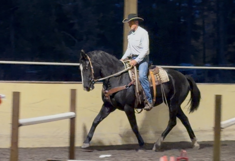 HorseID: 2291684 Wanna Smooch - PhotoID: 1089513