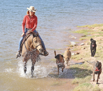 HorseID: 2247448 Medora King Buck - PhotoID: 1033516