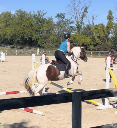 HorseID: 2260254 Tilly - PhotoID: 1058438