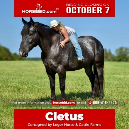 HorseID: 2260688 Cletus - PhotoID: 1042241